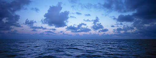 Michael Berman Photography